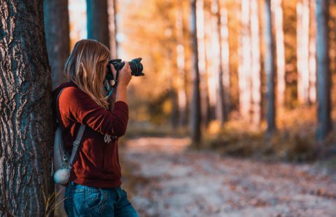 photo in woods photo in woods
