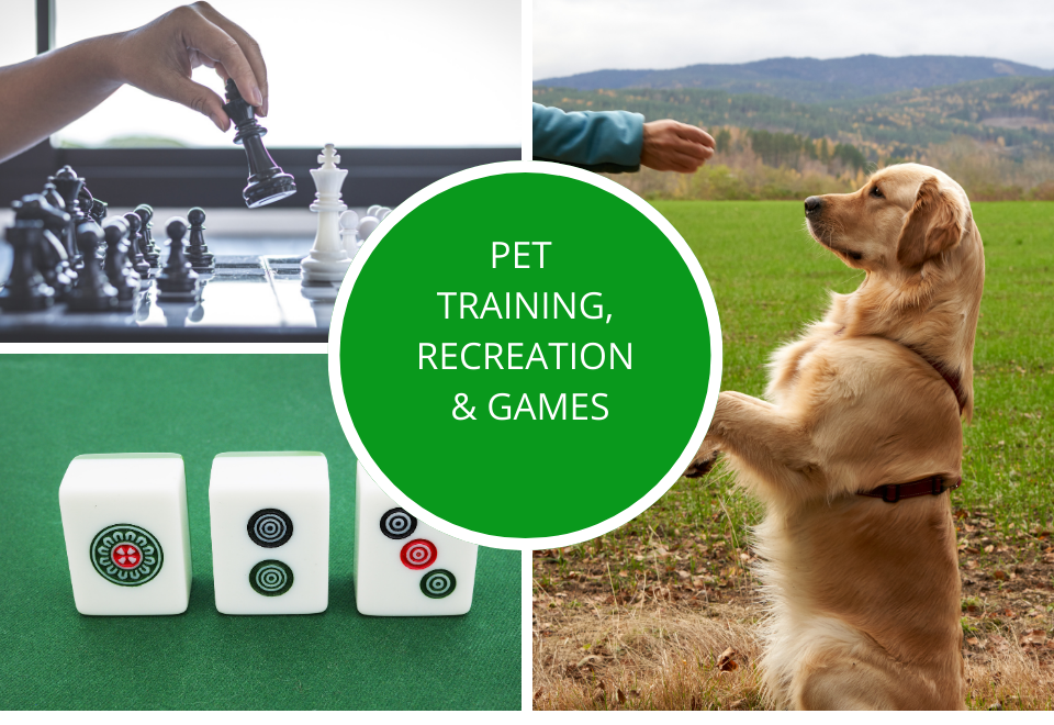 pet training pet training