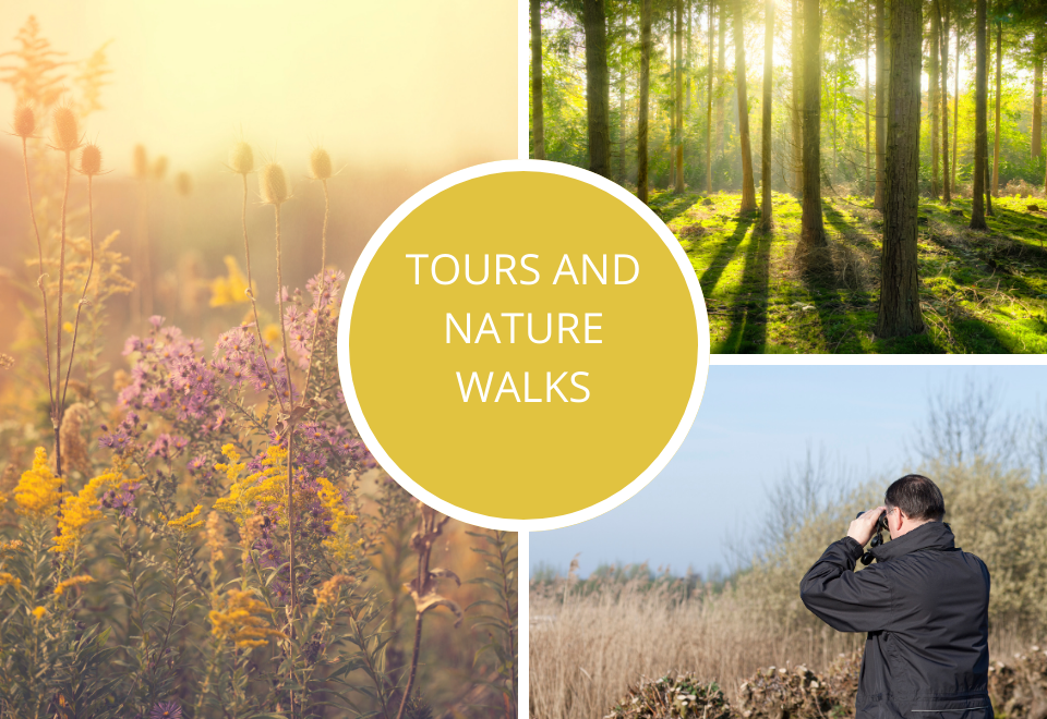 tours and nature walks