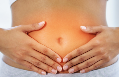 healthy gut healthy gut