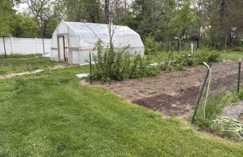 hoophouse1 hoophouse1
